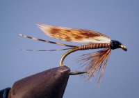 MARCH BROWN QUILL (WET)