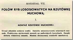 choynowski rozdz7 01